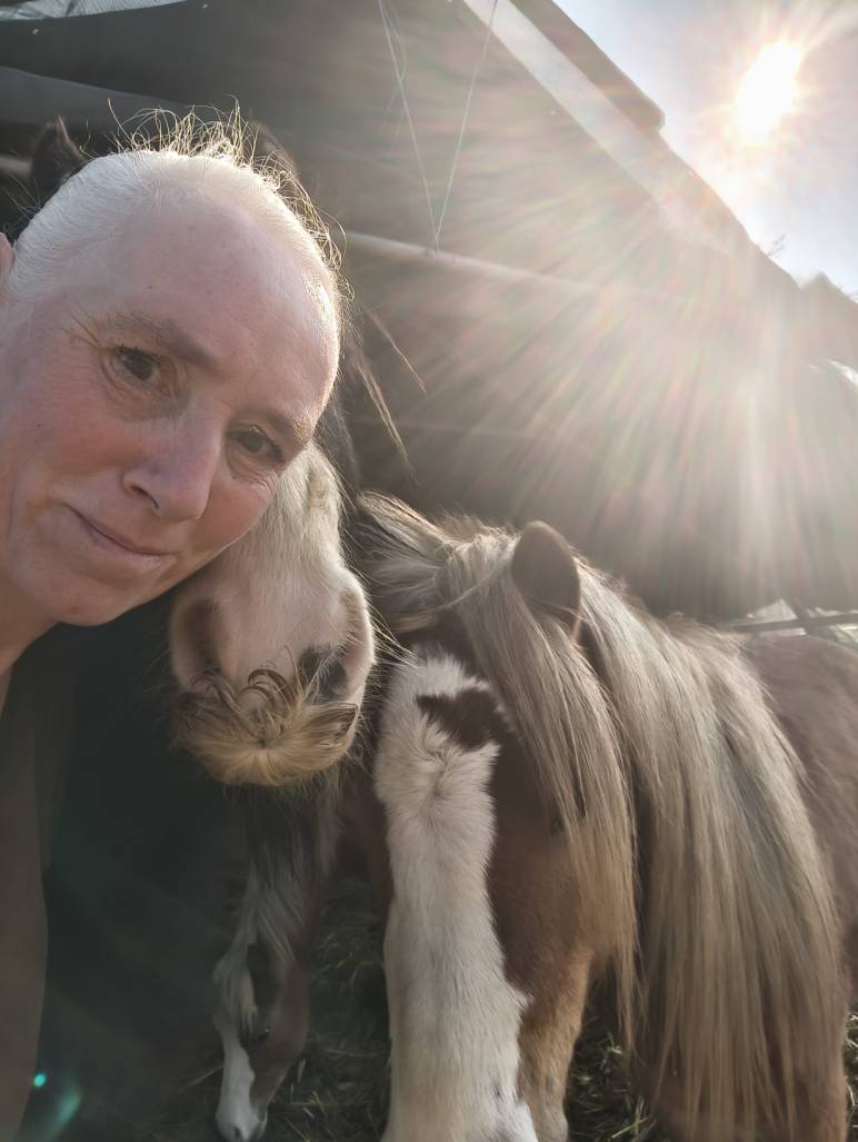 Frau mit weißen Haarpartien lehnt den Kopf an zwei junge, schlanke Pferde mit langen Mähnen; warmes Sonnenlicht fällt von hinten und verbindet Mensch und Tier in ruhiger Nähe.