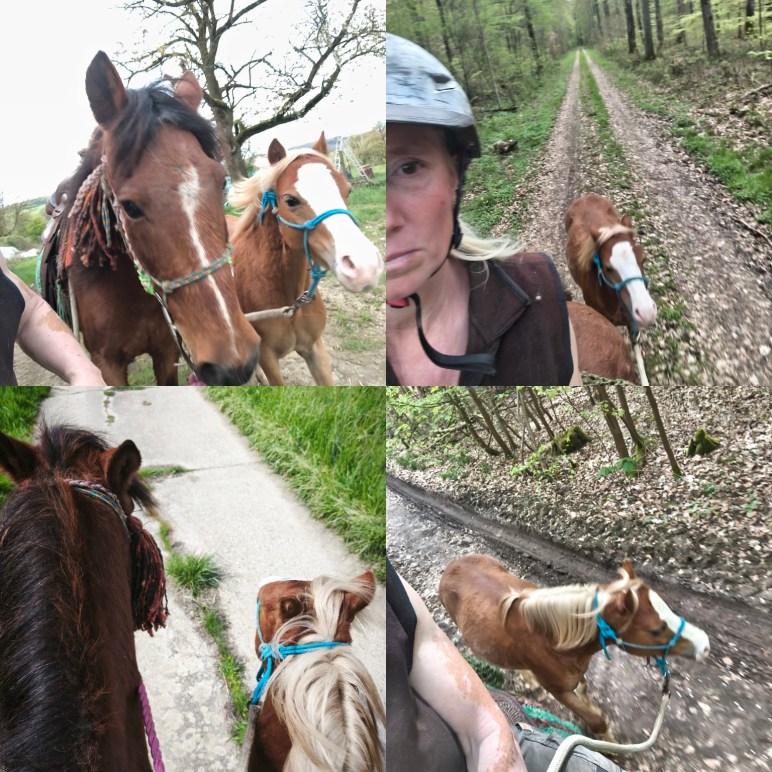 Führung und Gesundheit entstehen nicht im Kopf – sondern im echten Erleben.