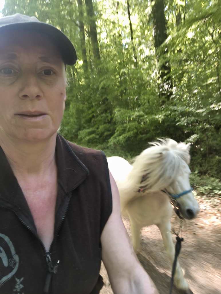 Milly läuft aufmerksam neben dem Fahrrad, frei im Trab, orientiert sich an Tempo und Richtung ihrer Bezugsperson.