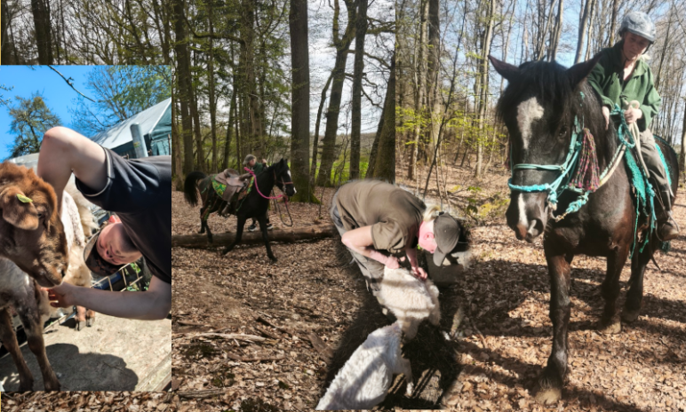 Frau arbeitet ruhig und konzentriert mit ihren Tieren: Schaf und Ziege werden achtsam geschoren, daneben Training mit einem schwarzen Pferd im Wald.