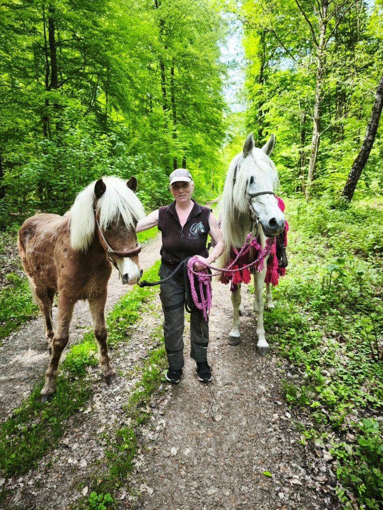 Eine Frau läuft mit zwei Ponys auf einem Waldweg. Die Tiere gehen ruhig und aufmerksam neben ihr durch einen grünen Frühlingswald.