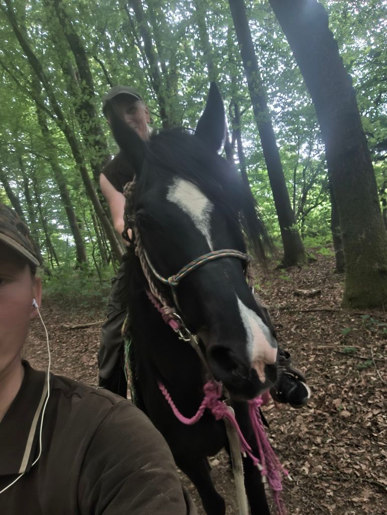 Sary läuft aufmerksam im Wald, mit Reiter und Begleitung, ruhig und konzentriert im gemeinsamen Tempo.
